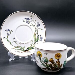 Villeroy and Boch Botanica teeduo: tass ja alustaldrik