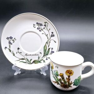 Villeroy and Boch Botanica kohviduo: tass ja alustaldrik